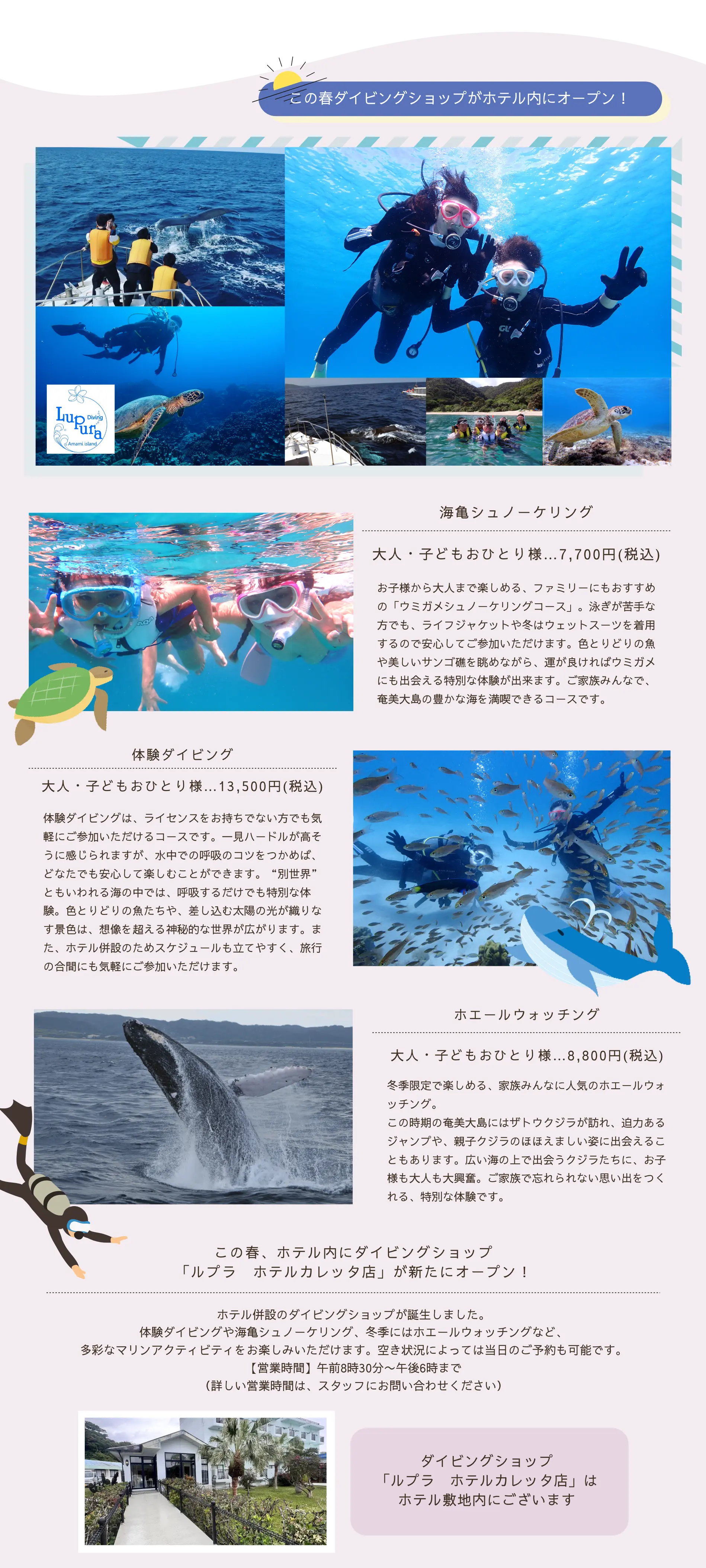 ルプラ内容紹介エリア