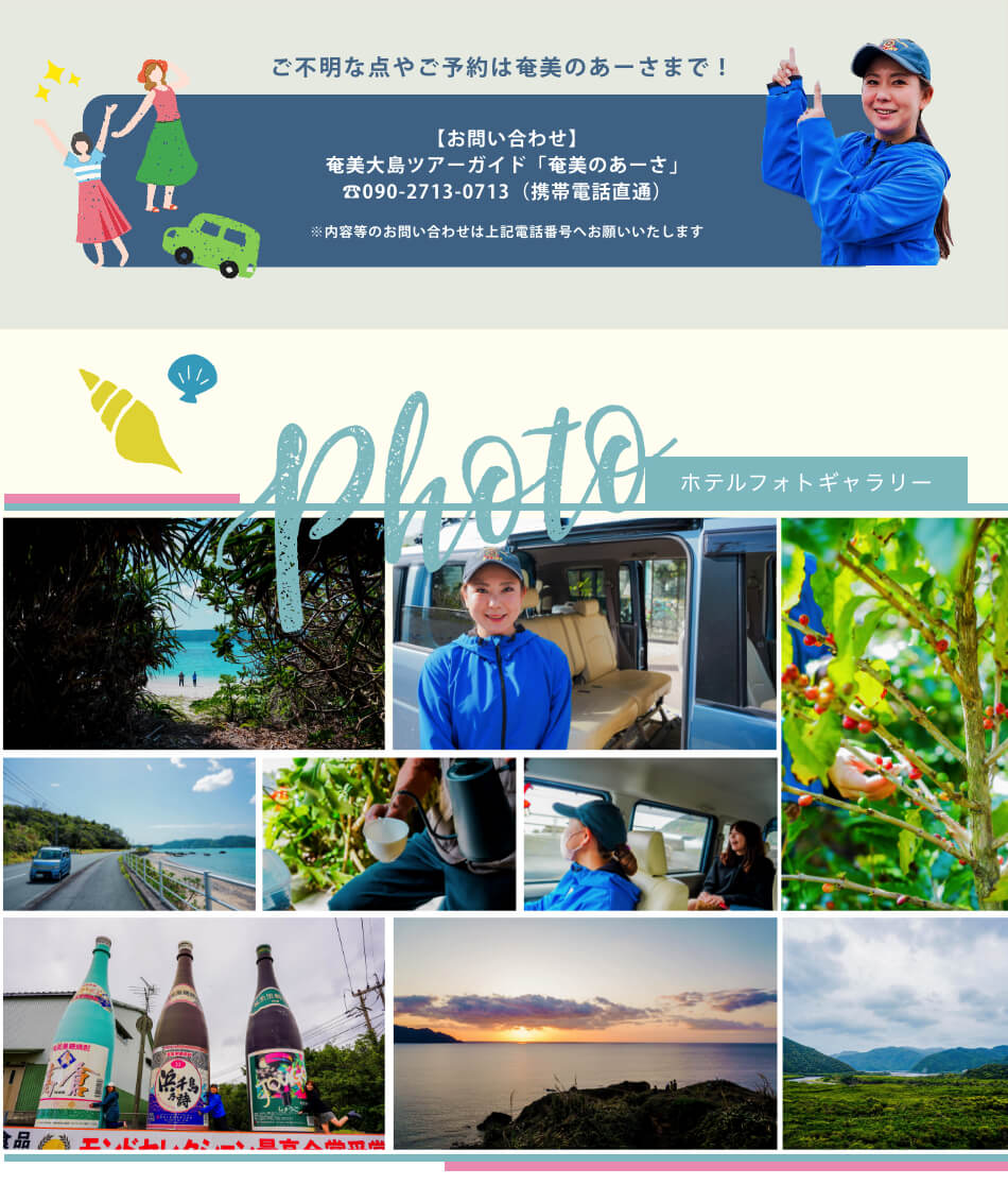 問合せ ギャラリー