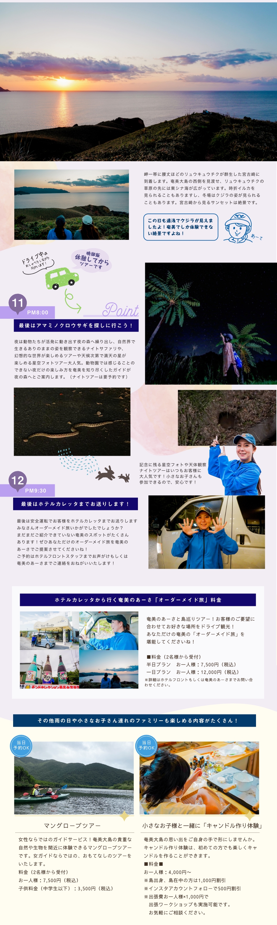 岬一帯に腰丈ほどのリュウキュウチクが群生した宮古崎に