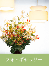 フォトギャラリー