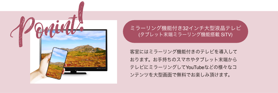 ミラーリング付きTV