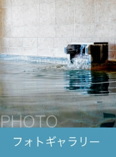 フォトギャラリー