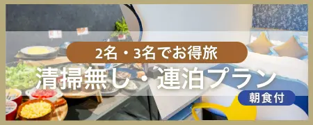 【特典付】☆VISON（ヴィソン）プラン