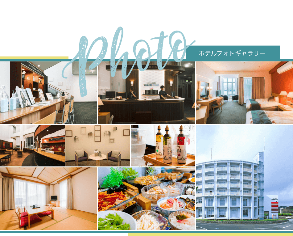 フォトギャラリー