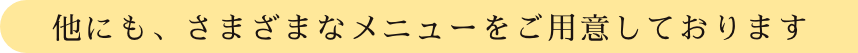 他にも、さまざまなメニューをご用意しております