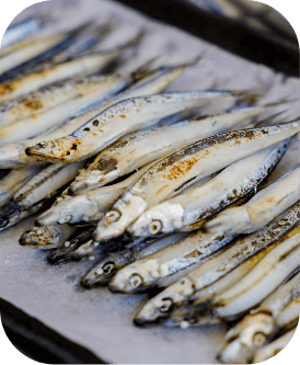 きびなごの塩焼き