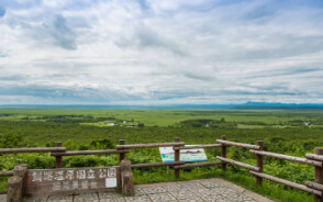 釧路湿原