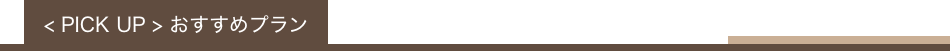 PICK UP おすすめプラン