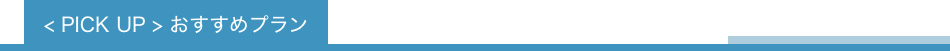 PICK UP おすすめプラン