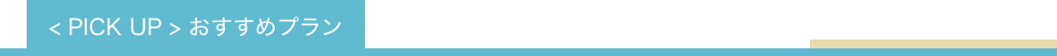 PICK UP おすすめプラン