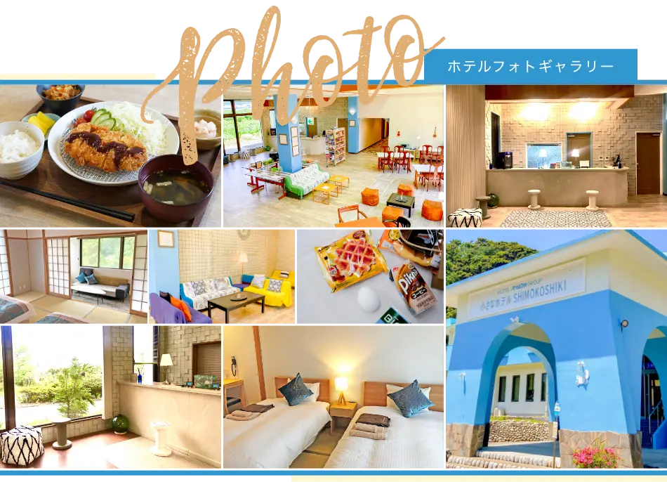 フォトギャラリー