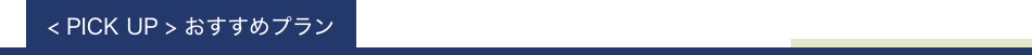PICK UP おすすめプラン